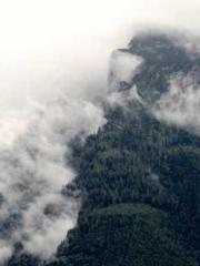 The Wife of My Heart