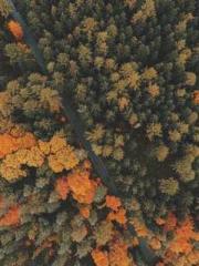 Lu Zongapos;s Hidden