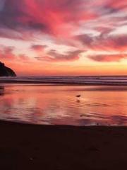 Lin Feng Lin Yun Yao