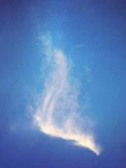 Cultivating My Empre