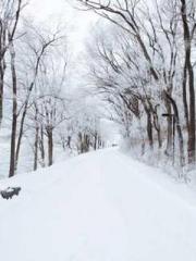 The Ugly Womanapos;s