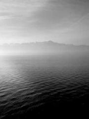 Becoming a Farm Girl