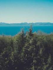 lt;gt;The son of a w