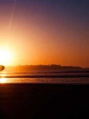 Li Qingqing and Zhao