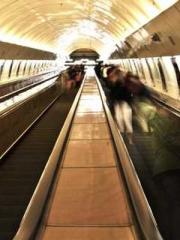 My pets are all amaz