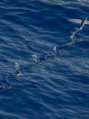 Unbound by any rules