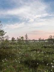 Love and him lt;lt;l