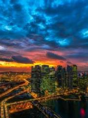 My Amazing Female Te