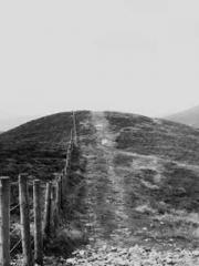 The Wife of My Heart