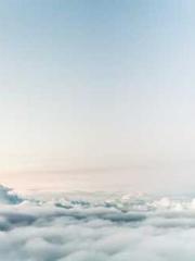 The wife wishes to b