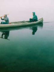 I Picked Up a Cultiv