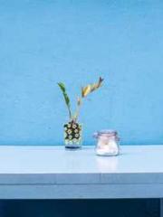 Rong Zhao, male, Nin