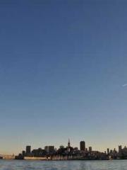 The Heavenly Physici