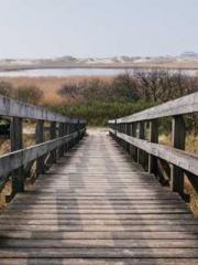 The Ugly Womanapos;s