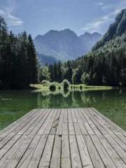 The Rebirth of a Phy