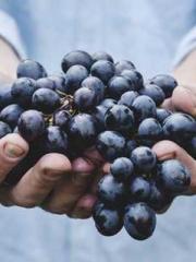 The Ugly Womanapos;s