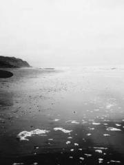 Mr. Shen, overdue an