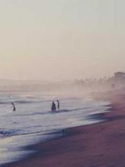 Reborn in the Apocal