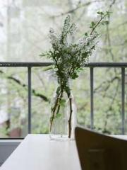 lt;The Dragon Discar