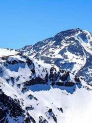 The Stand-in Wife Wa