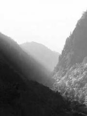 Professor Yan is goi