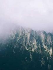 The Ugly Womanapos;s