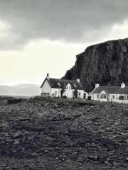 Two Treasures Arrive