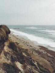 The Ugly Womanapos;s