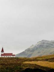 I Picked Up a Cultiv