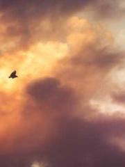 The Imperial Uncleap