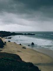 The Imperial Concubi