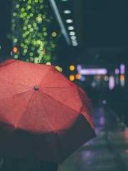 The Undefeated Son-i