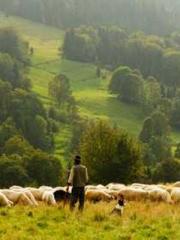 The Heavenly Eye Gho