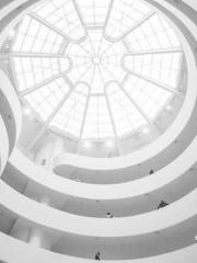 My Amazing Female Te