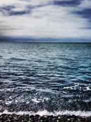 The Return of the Go