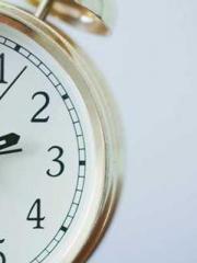 The Daring Wife of a