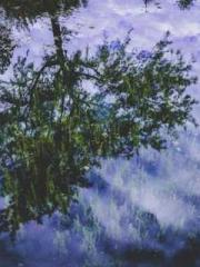 The Rebirth of a Phy