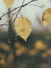 lt;Dragon King Legen