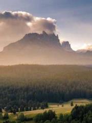 Cold-hearted Inkapos