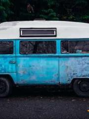 Reborn in the Apocal